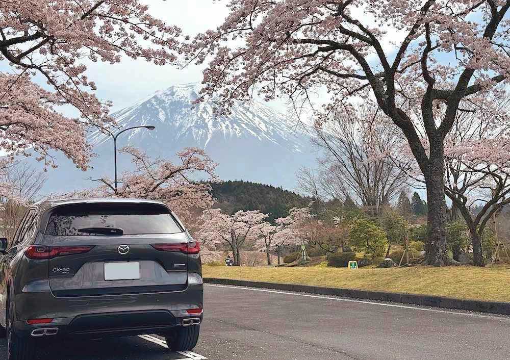 富士山と桜と愛車