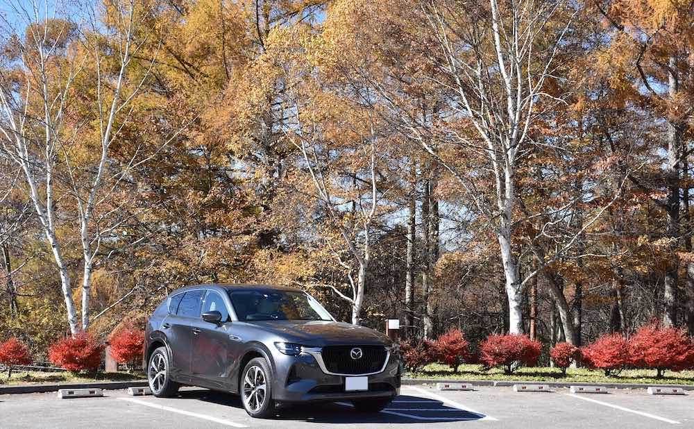 車の写真撮影スポット：テラス蓼科リゾート&スパ（長野県茅野市）