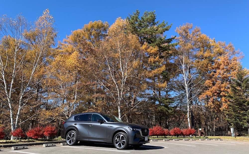 車の写真撮影スポット：テラス蓼科リゾート&スパ（長野県茅野市）