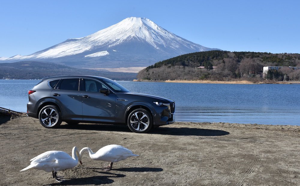 車の写真撮影スポット:山中湖平野の浜(山梨県南都留郡山中湖村)