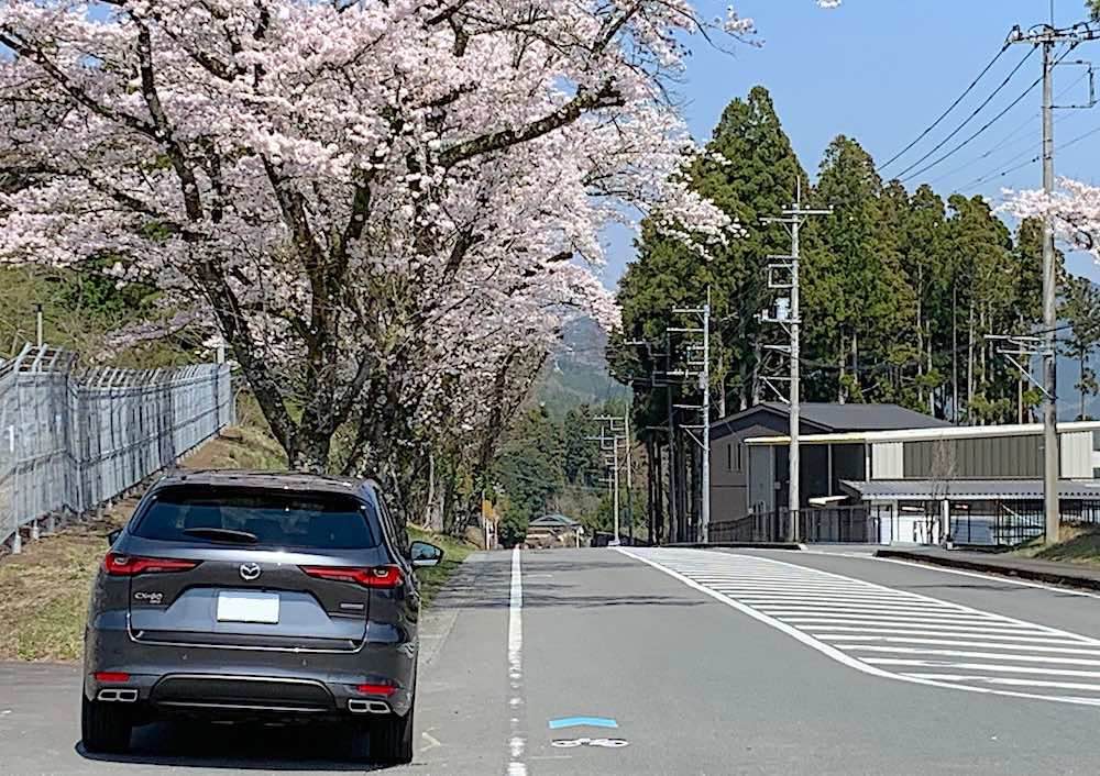 車の写真撮影スポット：富士スピードウェイ（静岡県駿東郡小山町）