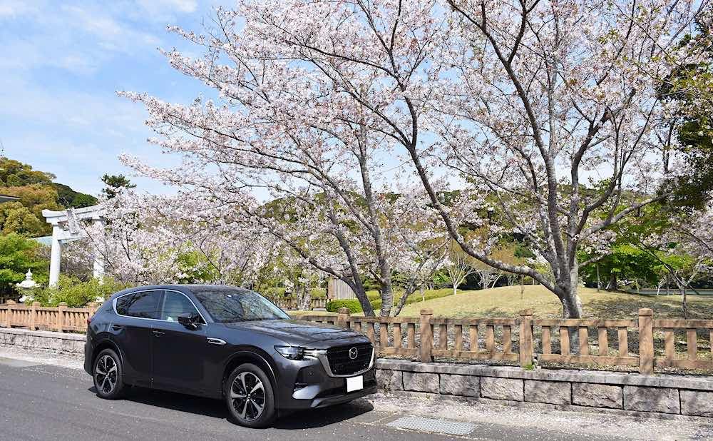 車の写真撮影スポット：桜ヶ池（静岡県御前崎市）