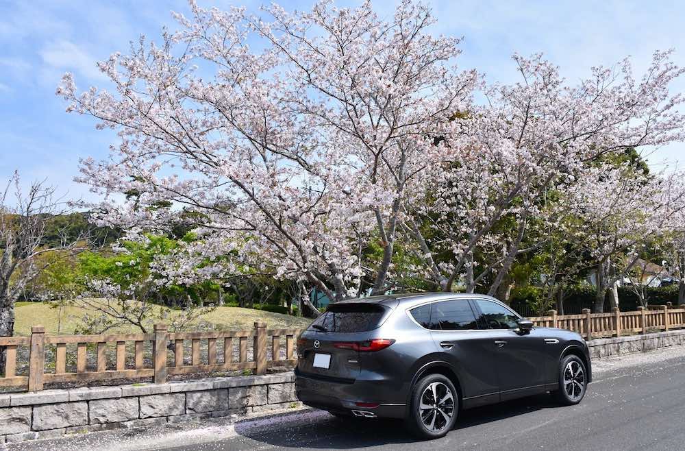 車の写真撮影スポット:桜ヶ池(静岡県御前崎市)