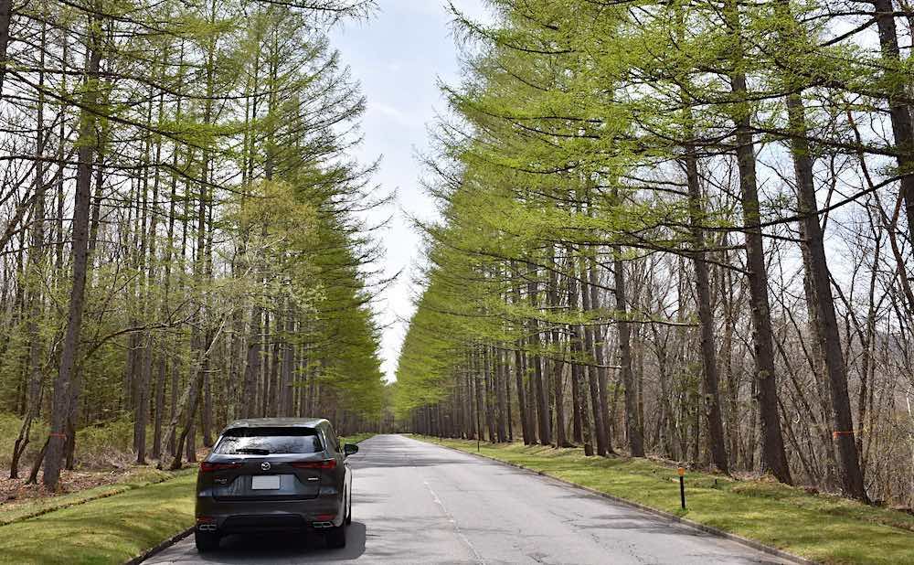車の写真撮影スポット：八ヶ岳高原海ノ口自然郷（長野県南佐久郡南牧村）