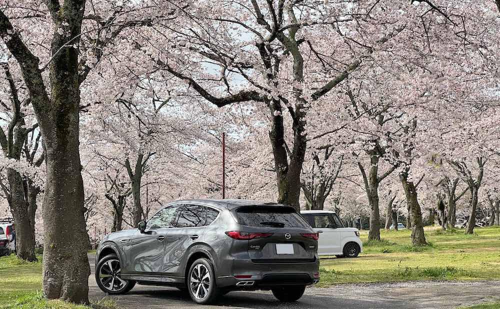 車の写真撮影スポット
