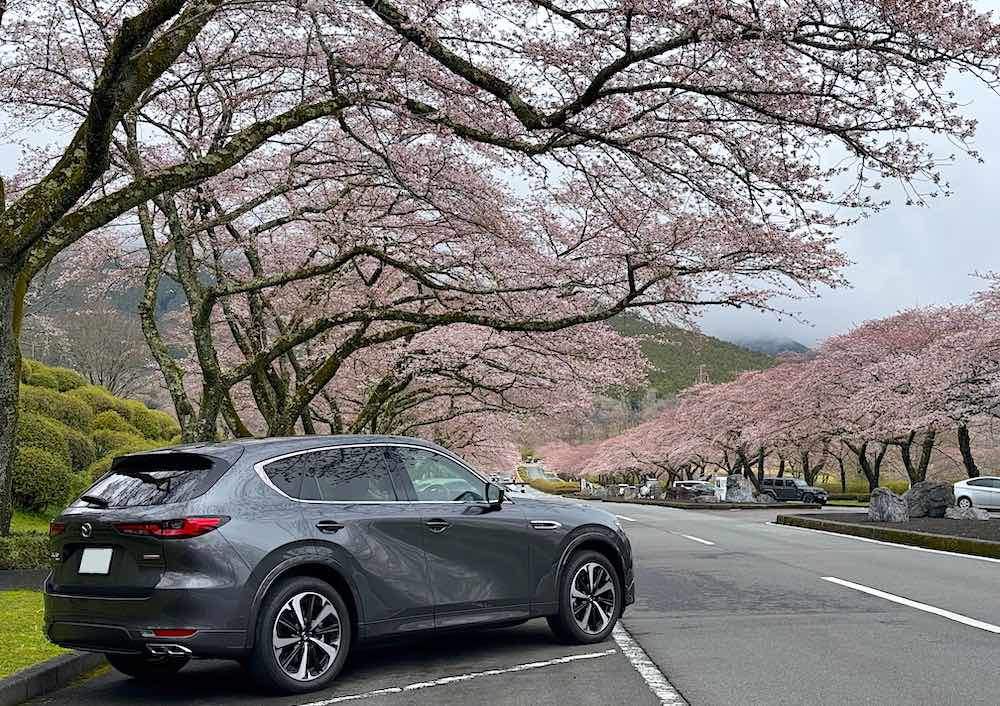車の写真撮影スポット：富士霊園（静岡県駿東郡小山町）
