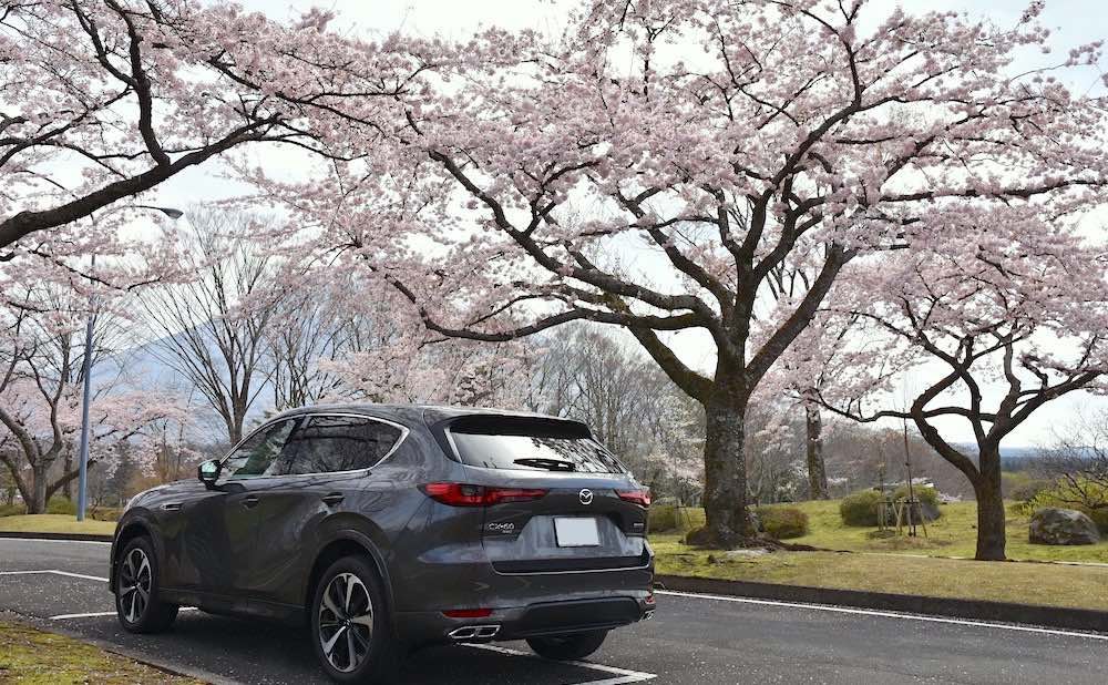 車の写真撮影スポット：富士山と桜と愛車