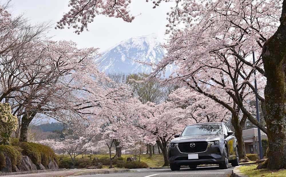 車の写真撮影スポット：富士山と桜と愛車