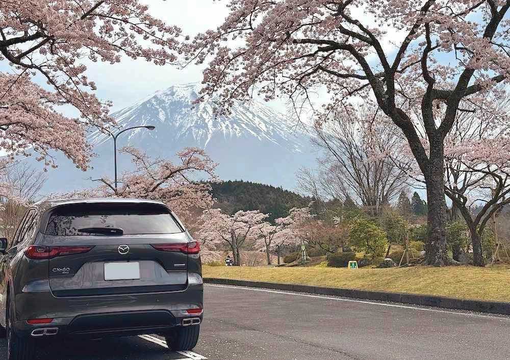 車の写真撮影スポット