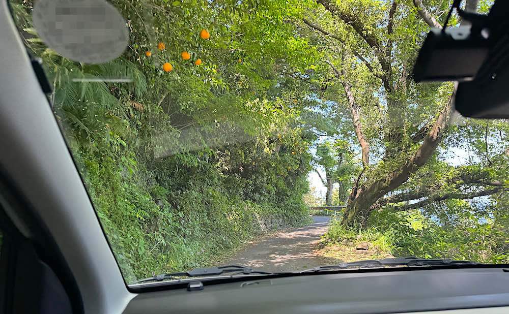 車の写真撮影スポット：薩埵峠（静岡県静岡市）
