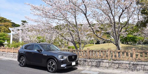 桜ヶ池（静岡県御前崎市）