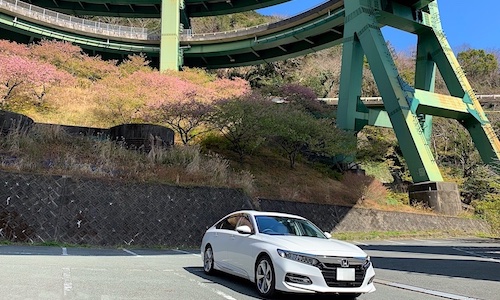 河津七滝ループ橋（静岡県賀茂郡河津町）
